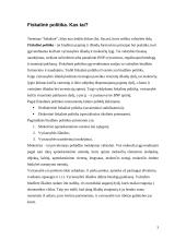 Lietuvos fiskalinė politika 3 puslapis