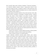 Lietuvos fiskalinė politika 4 puslapis