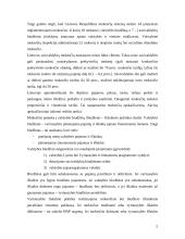 Lietuvos fiskalinė politika 5 puslapis