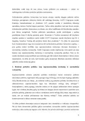 Lietuvos ir Europos Sajungos bendradarbiavimas 6 puslapis