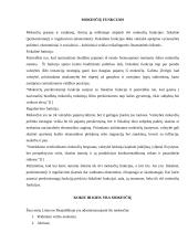 Lietuvos mokesčių sistema bei mokesčių elementai 4 puslapis