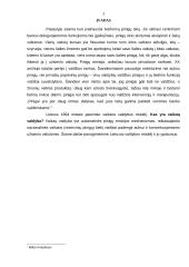 Lietuvos monetarinės politikos ypatumai 2 puslapis