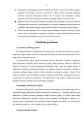 Lietuvos nedarbas 2005 metais 13 puslapis