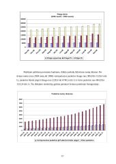 Lietuvos pinigų politika 13 puslapis