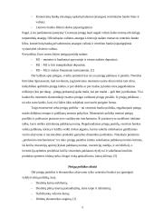 Lietuvos pinigų politika 5 puslapis