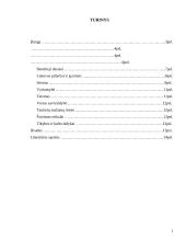 Lietuvos Respublikos politinė sistema 2 puslapis