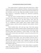 Lietuvos Respublikos politinė sistema 8 puslapis