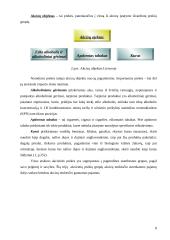 Lietuvos Respublikos mokesčių sistemos netiesioginių mokesčių grupės akcizų mokestis 8 puslapis