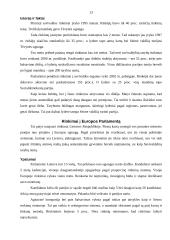 Lietuvos rinkimų sistema ir jos ypatumai 13 puslapis