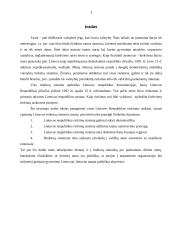 Lietuvos rinkimų sistema ir jos ypatumai 3 puslapis