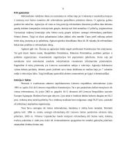 Lietuvos rinkimų sistema ir jos ypatumai 6 puslapis