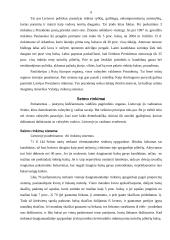 Lietuvos rinkimų sistema ir jos ypatumai 9 puslapis