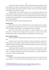 Lietuvos rinkimų sistema ir jos ypatumai 10 puslapis