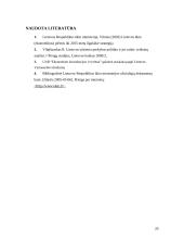 Lietuvos ūkio ekonominės būklės analizė 20 puslapis