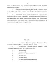 Lietuvos užsienio prekyba. Importas bei eksportas 16 puslapis