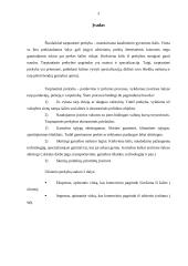 Lietuvos užsienio prekyba. Importas bei eksportas 2 puslapis