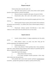 Lietuvos užsienio prekyba. Importas bei eksportas 3 puslapis