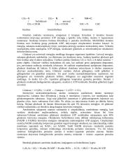 Lygiųjų ir skersaruožių raumenų veiklos reguliacija 5 puslapis