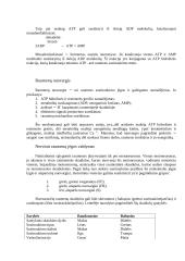 Lygiųjų ir skersaruožių raumenų veiklos reguliacija 6 puslapis