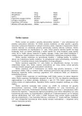 Lygiųjų ir skersaruožių raumenų veiklos reguliacija 7 puslapis