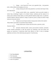 Lizingas ir finansai 13 puslapis