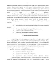 Lizingas ir finansai 3 puslapis