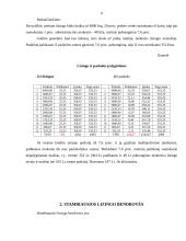 Lizingas ir finansai 6 puslapis