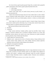 Lizingo teisiniai ir teoriniai aspektai 11 puslapis