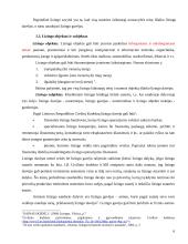 Lizingo teisiniai ir teoriniai aspektai 6 puslapis