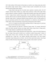 Lizingo teisiniai ir teoriniai aspektai 7 puslapis