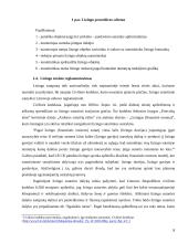 Lizingo teisiniai ir teoriniai aspektai 8 puslapis