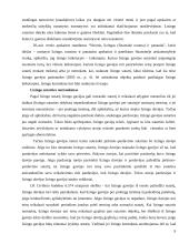 Lizingo teisiniai ir teoriniai aspektai 9 puslapis