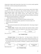 Lizingo teisiniai ir teoriniai aspektai 10 puslapis