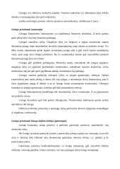 Lizingas Lietuvoje 5 puslapis