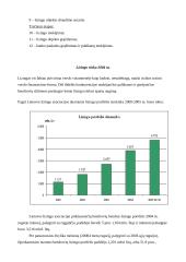 Lizingas Lietuvoje 7 puslapis