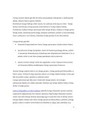 Lizingo samprata bei lizingo veikla Lietuvoje 4 puslapis