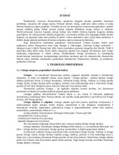 Viskas apie lizingą 2 puslapis