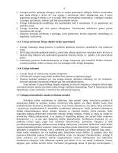 Viskas apie lizingą 11 puslapis