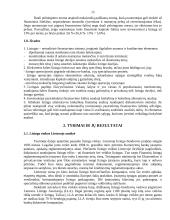 Viskas apie lizingą 13 puslapis