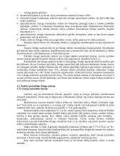 Viskas apie lizingą 3 puslapis