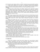 Viskas apie lizingą 5 puslapis