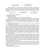 Viskas apie lizingą 6 puslapis