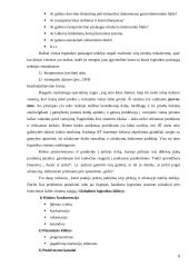 Logistikos reikšmė ūkio sistemoje 8 puslapis