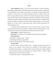 Londonas ir lankytinos vietos jame 2 puslapis