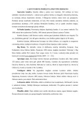 Londonas ir lankytinos vietos jame 8 puslapis