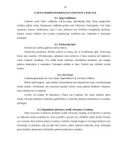 Londonas ir lankytinos vietos jame 9 puslapis