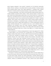 M.K. Čiurlionis paveikslas "Rex" 5 puslapis