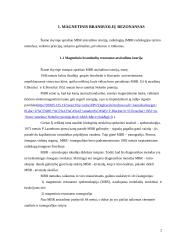 Magnetinio branduolių rezonanso taikymo saugumas medicinos darbuotojams 2 puslapis