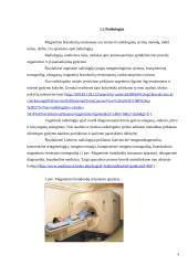 Magnetinio branduolių rezonanso taikymo saugumas medicinos darbuotojams 3 puslapis