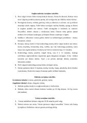 Maisto derinimas 4 puslapis